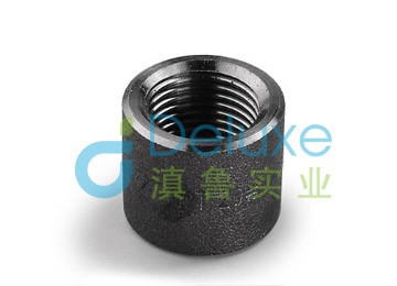 高压碳钢半螺纹管箍（BSPTNPT）