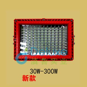 BZD188-02(新款)防爆灯