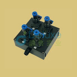 BXS8030系列防爆防腐电源插座箱(IIB、IIC)