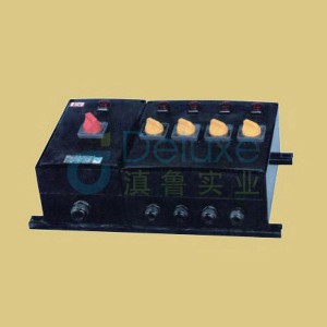 BXM(D)8030系列防爆防腐照明(动力)配电箱(IIB、IIC)