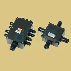 BJX8030系列防爆防腐接线箱(IIB、IIC)