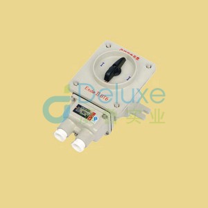BHZ51系列防爆转换开关(IIB、IIC)